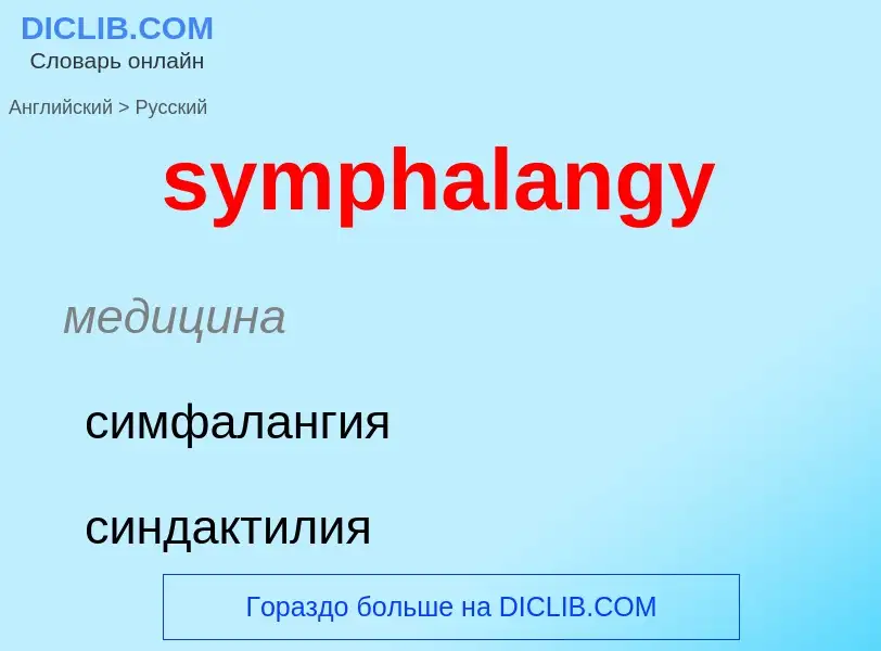 Como se diz symphalangy em Russo? Tradução de &#39symphalangy&#39 em Russo