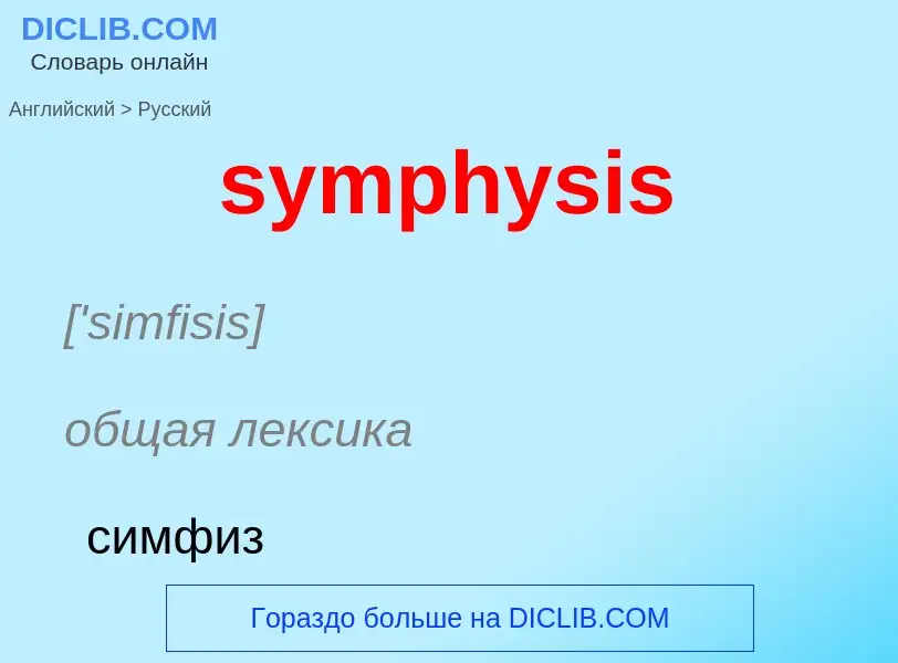 Como se diz symphysis em Russo? Tradução de &#39symphysis&#39 em Russo