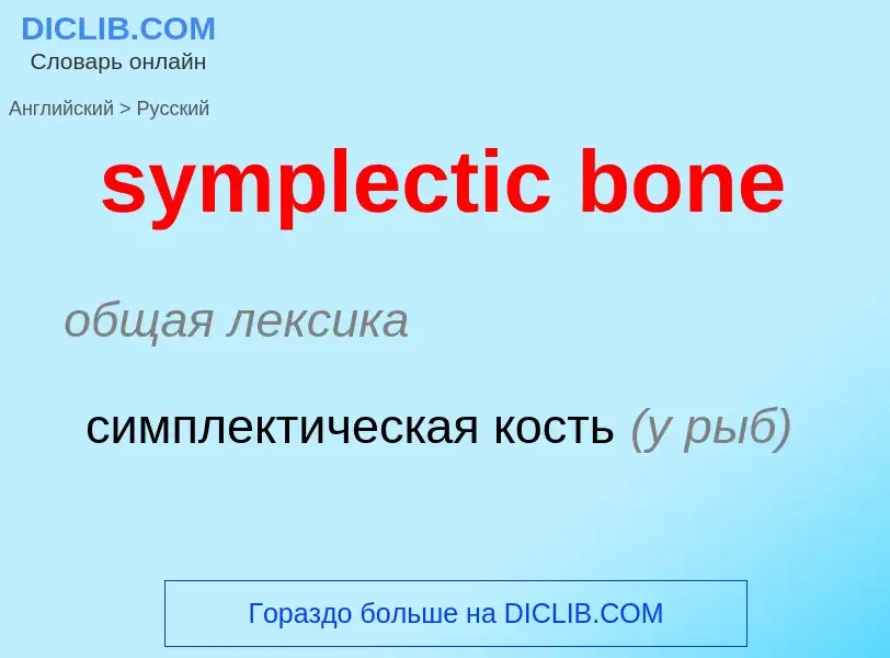 Como se diz symplectic bone em Russo? Tradução de &#39symplectic bone&#39 em Russo