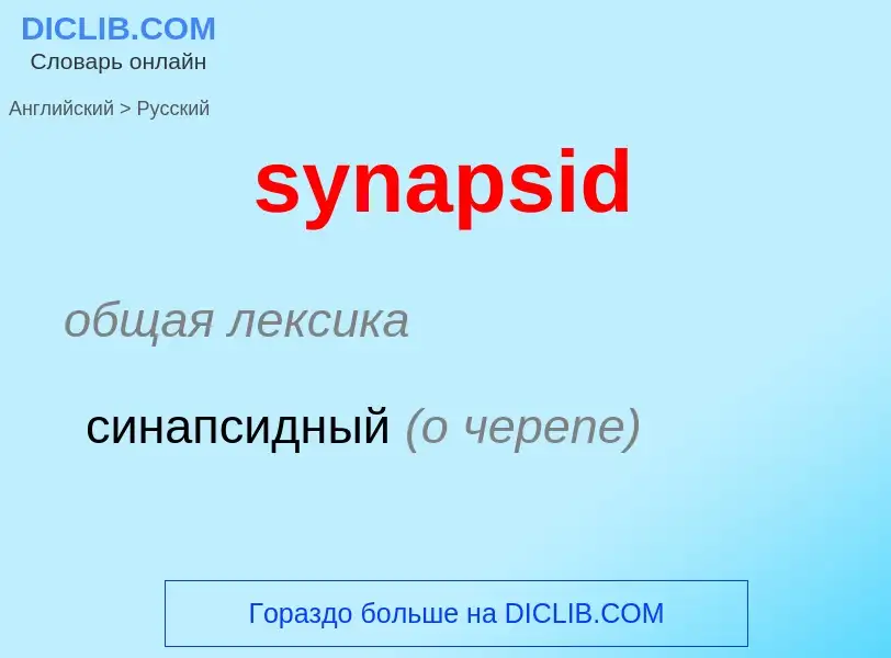 Como se diz synapsid em Russo? Tradução de &#39synapsid&#39 em Russo