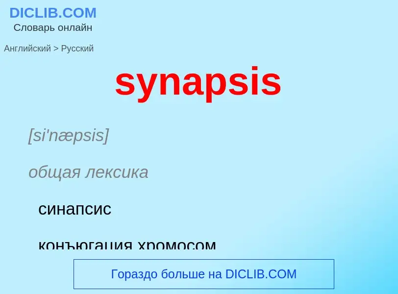 Como se diz synapsis em Russo? Tradução de &#39synapsis&#39 em Russo