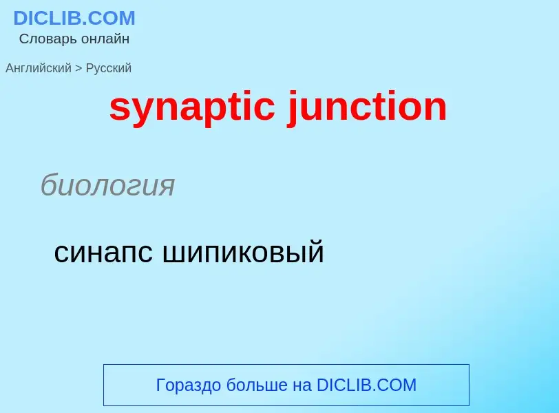 Como se diz synaptic junction em Russo? Tradução de &#39synaptic junction&#39 em Russo