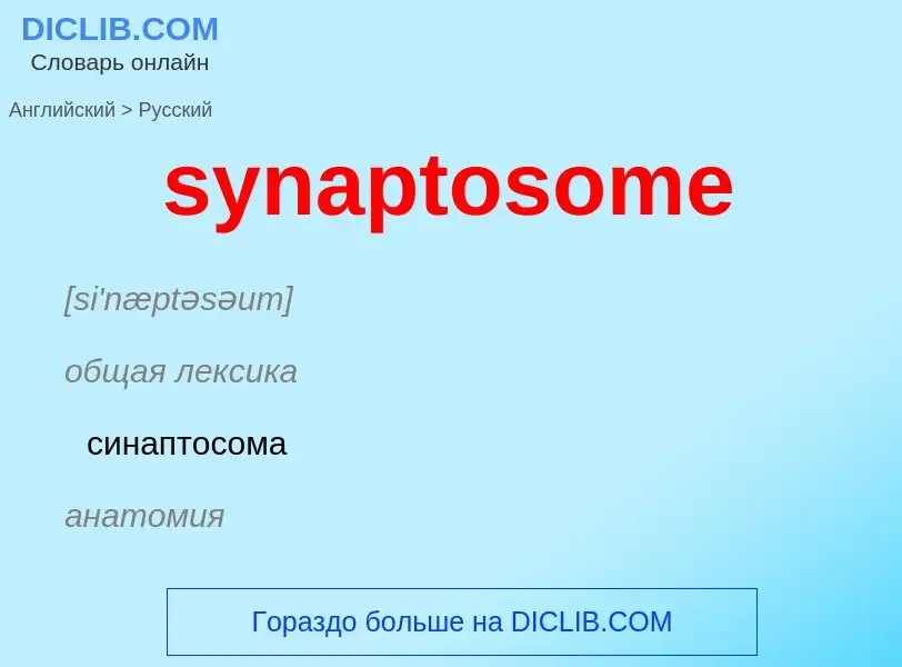 Como se diz synaptosome em Russo? Tradução de &#39synaptosome&#39 em Russo