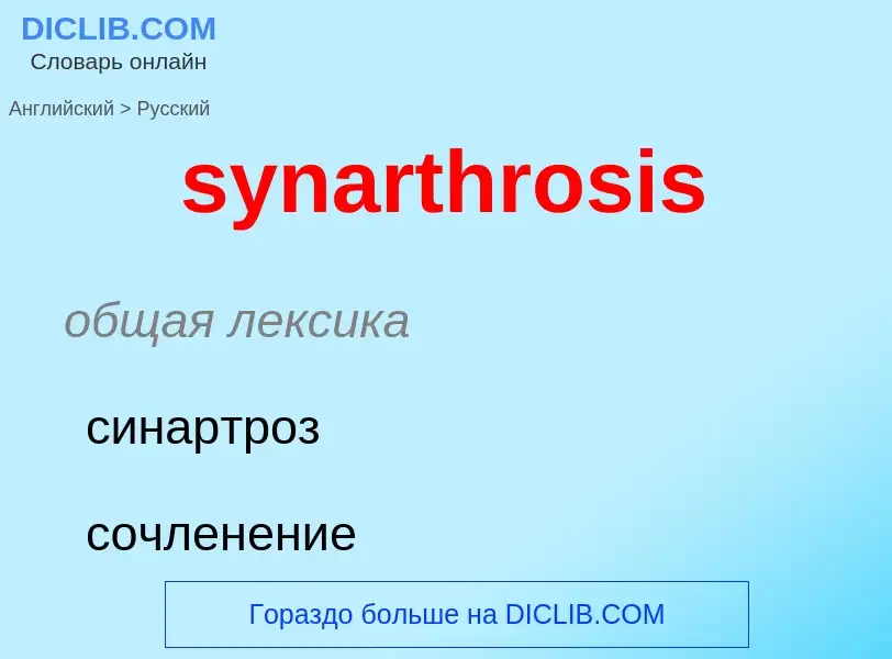 Como se diz synarthrosis em Russo? Tradução de &#39synarthrosis&#39 em Russo