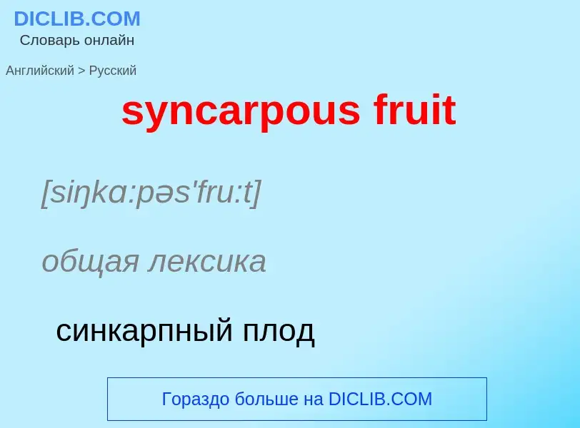 Como se diz syncarpous fruit em Russo? Tradução de &#39syncarpous fruit&#39 em Russo