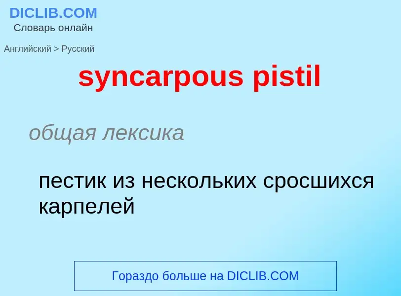 Como se diz syncarpous pistil em Russo? Tradução de &#39syncarpous pistil&#39 em Russo