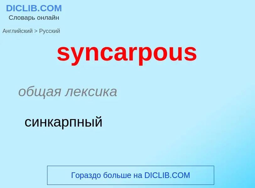 Como se diz syncarpous em Russo? Tradução de &#39syncarpous&#39 em Russo