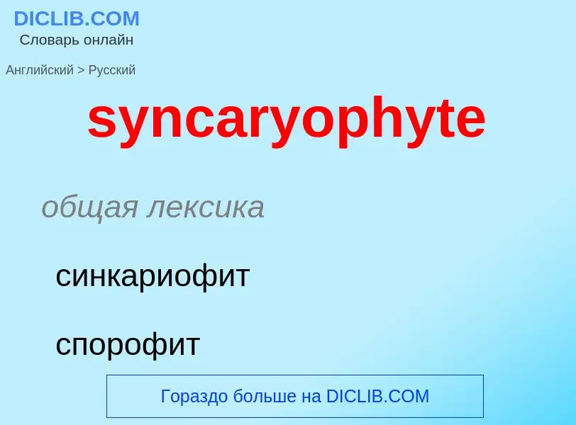 Como se diz syncaryophyte em Russo? Tradução de &#39syncaryophyte&#39 em Russo