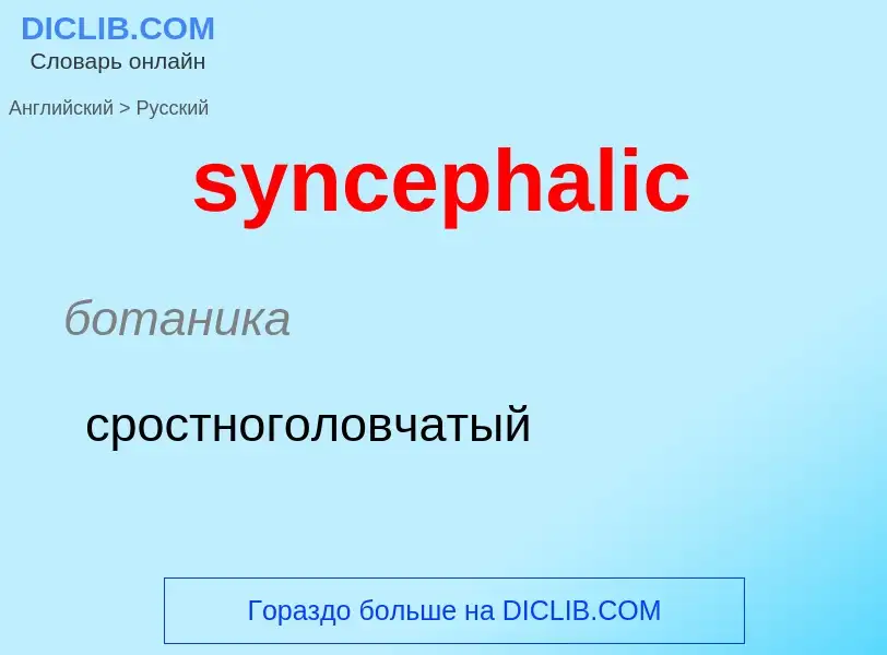 Como se diz syncephalic em Russo? Tradução de &#39syncephalic&#39 em Russo