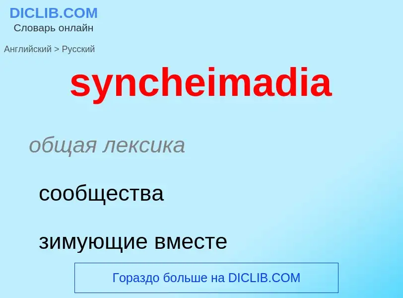 Como se diz syncheimadia em Russo? Tradução de &#39syncheimadia&#39 em Russo