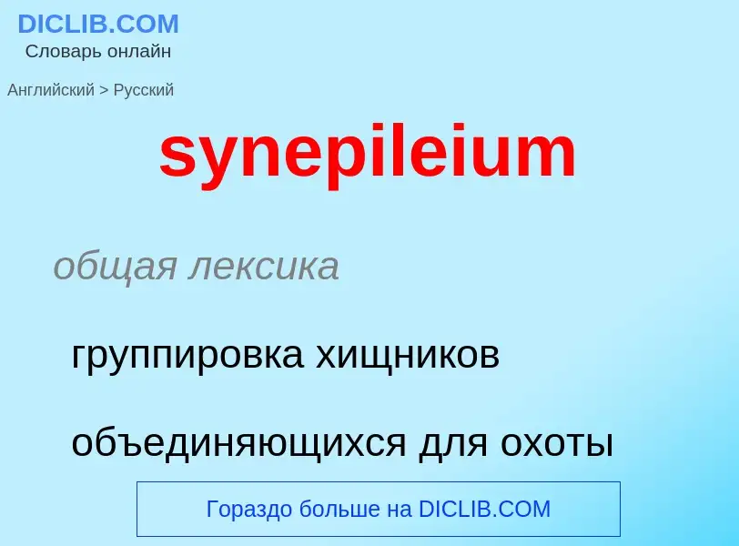 Como se diz synepileium em Russo? Tradução de &#39synepileium&#39 em Russo