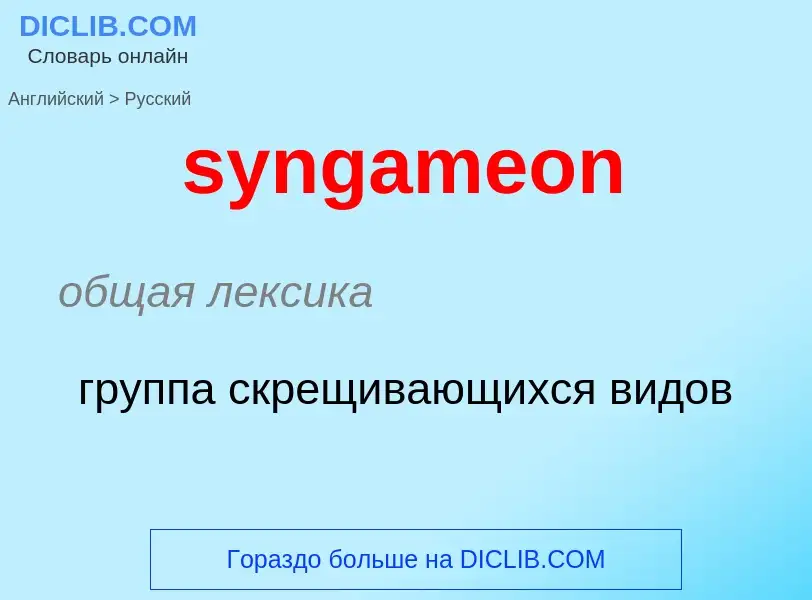 Como se diz syngameon em Russo? Tradução de &#39syngameon&#39 em Russo