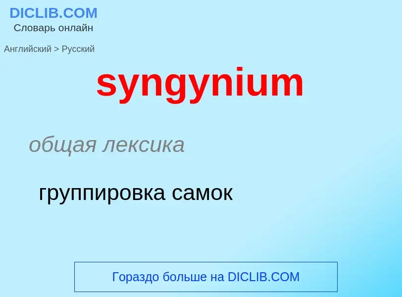 Como se diz syngynium em Russo? Tradução de &#39syngynium&#39 em Russo