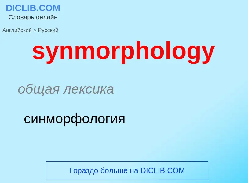 Übersetzung von &#39synmorphology&#39 in Russisch