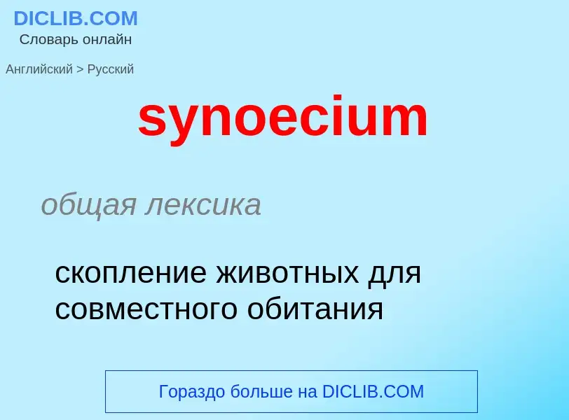 Übersetzung von &#39synoecium&#39 in Russisch