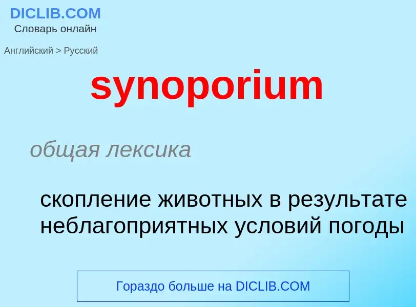 Übersetzung von &#39synoporium&#39 in Russisch