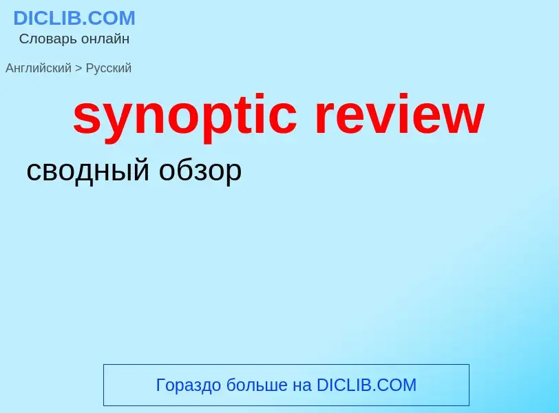 Übersetzung von &#39synoptic review&#39 in Russisch