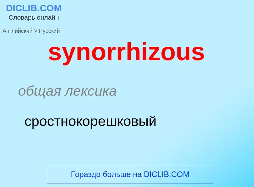 Übersetzung von &#39synorrhizous&#39 in Russisch