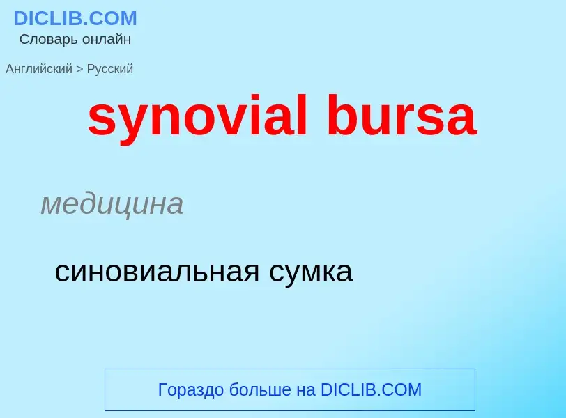 Übersetzung von &#39synovial bursa&#39 in Russisch