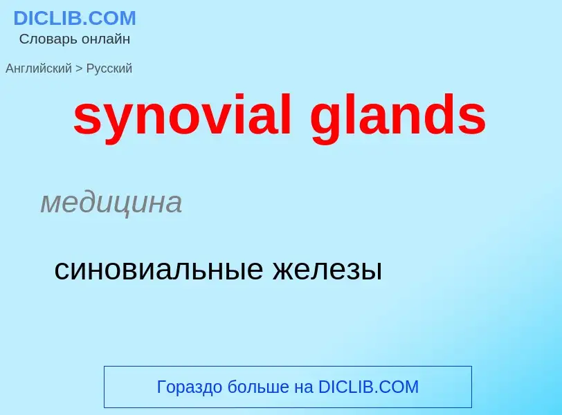 Übersetzung von &#39synovial glands&#39 in Russisch