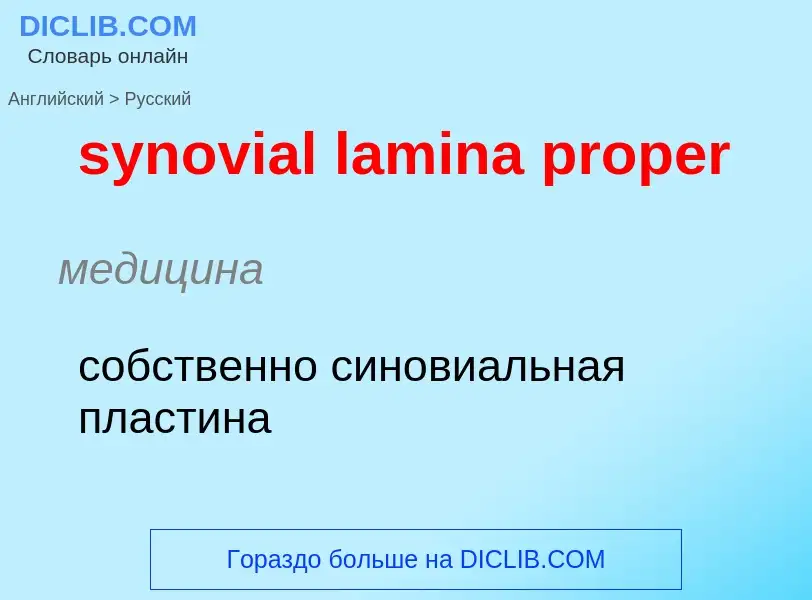 Übersetzung von &#39synovial lamina proper&#39 in Russisch