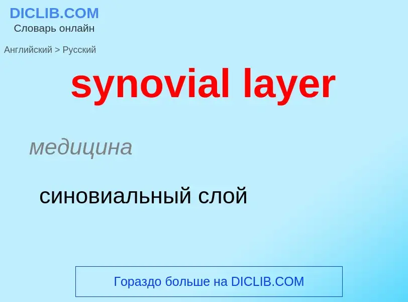 Übersetzung von &#39synovial layer&#39 in Russisch