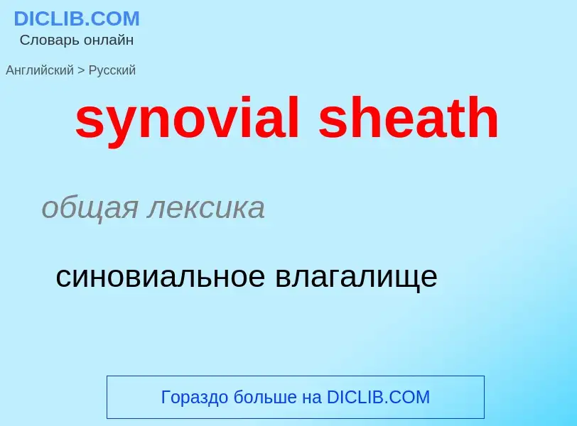 Übersetzung von &#39synovial sheath&#39 in Russisch