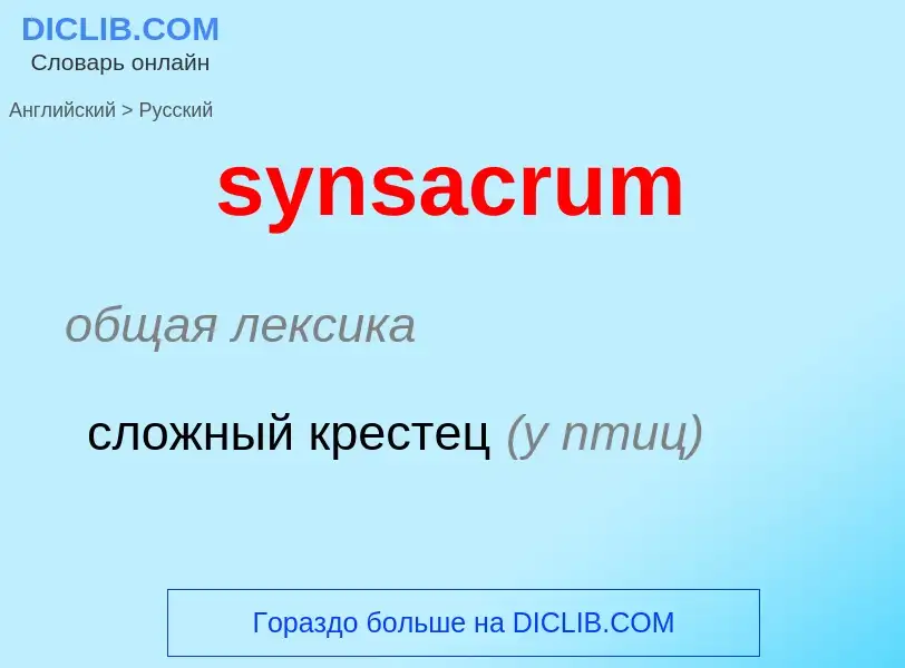 Como se diz synsacrum em Russo? Tradução de &#39synsacrum&#39 em Russo