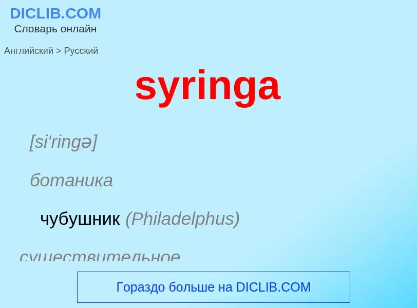 Como se diz syringa em Russo? Tradução de &#39syringa&#39 em Russo