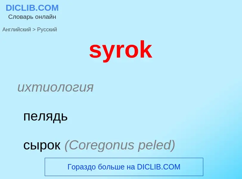 Traduzione di &#39syrok&#39 in Russo