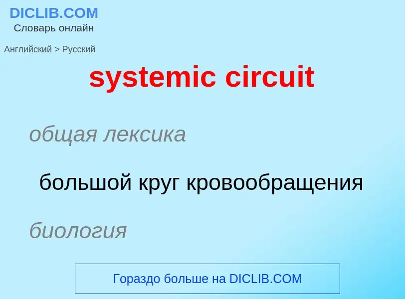 Como se diz systemic circuit em Russo? Tradução de &#39systemic circuit&#39 em Russo