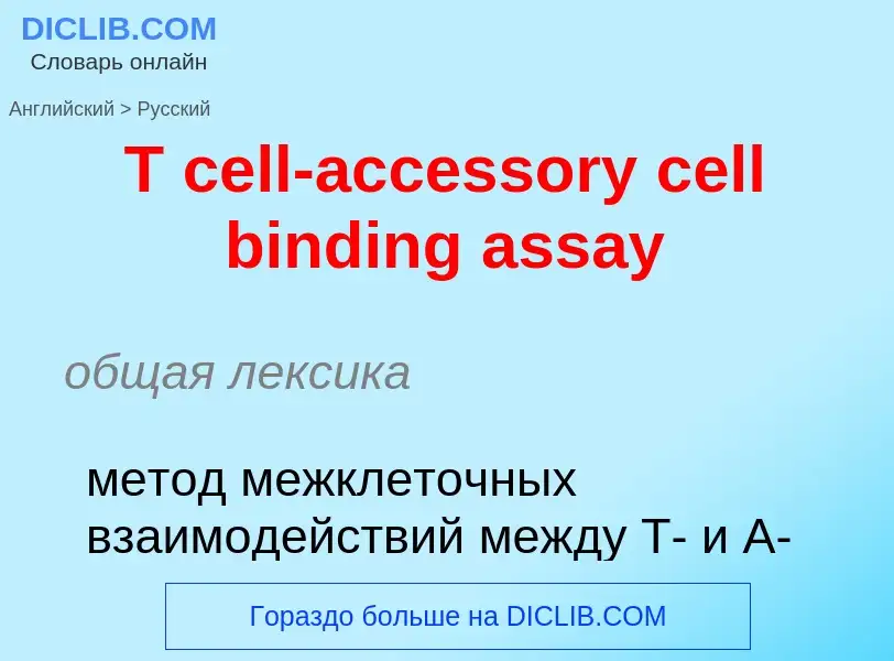 Μετάφραση του &#39T cell-accessory cell binding assay&#39 σε Ρωσικά