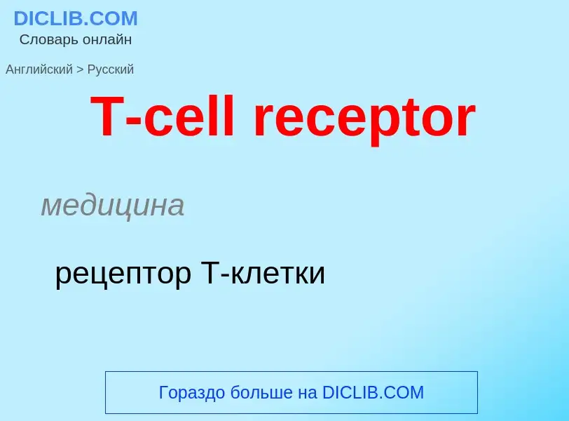 Μετάφραση του &#39T-cell receptor&#39 σε Ρωσικά