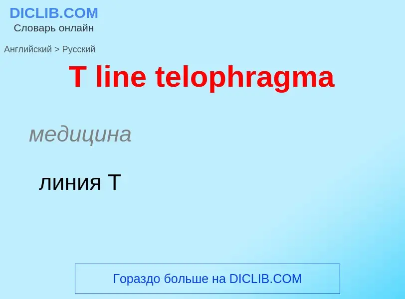 Как переводится T line telophragma на Русский язык