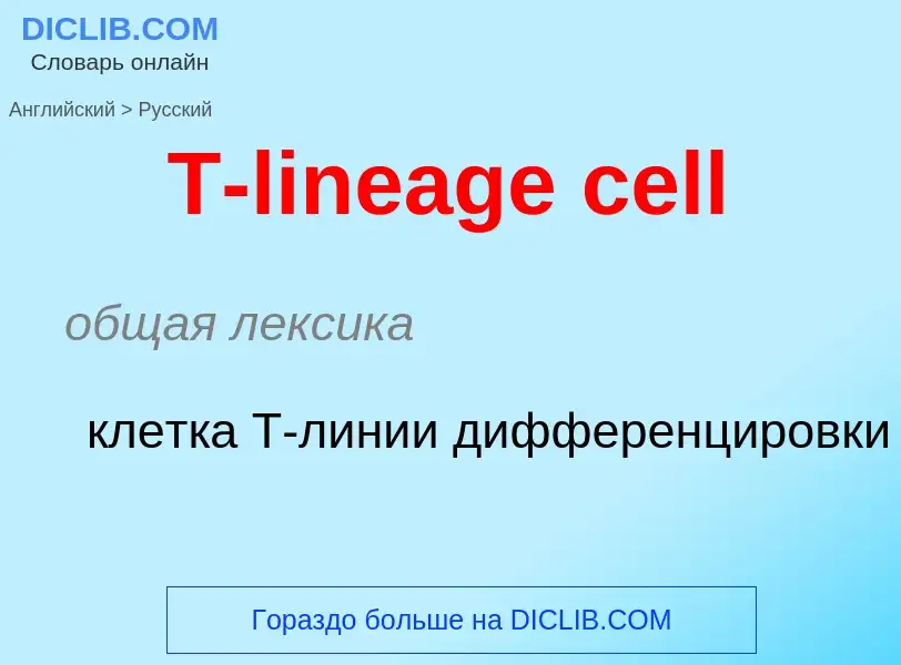 Como se diz T-lineage cell em Russo? Tradução de &#39T-lineage cell&#39 em Russo