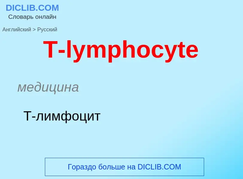 Como se diz T-lymphocyte em Russo? Tradução de &#39T-lymphocyte&#39 em Russo