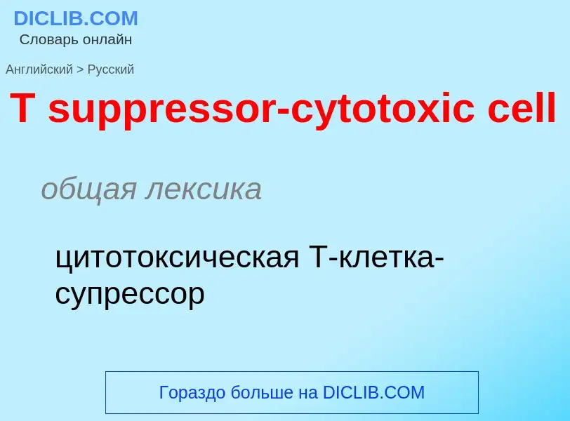 ¿Cómo se dice T suppressor-cytotoxic cell en Ruso? Traducción de &#39T suppressor-cytotoxic cell&#39