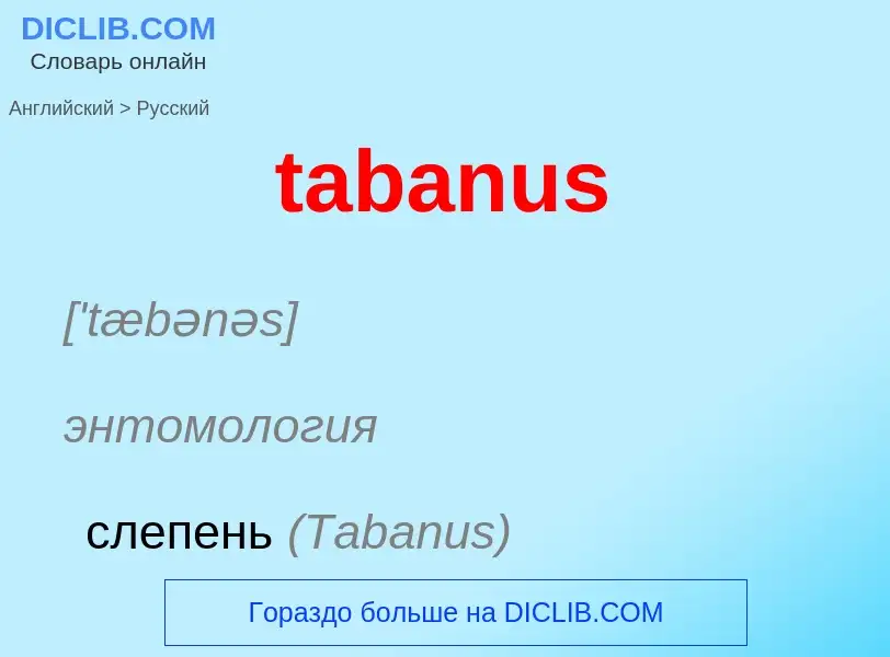 ¿Cómo se dice tabanus en Ruso? Traducción de &#39tabanus&#39 al Ruso