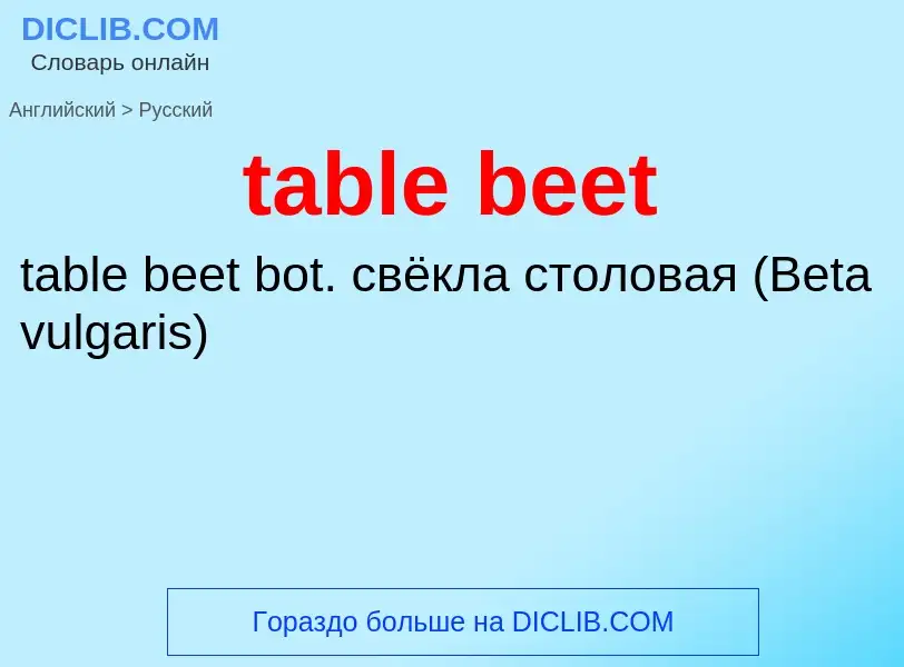 Как переводится table beet на Русский язык