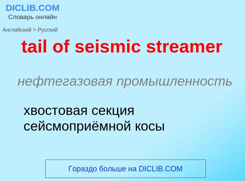 What is the Russian for tail of seismic streamer? Translation of &#39tail of seismic streamer&#39 to