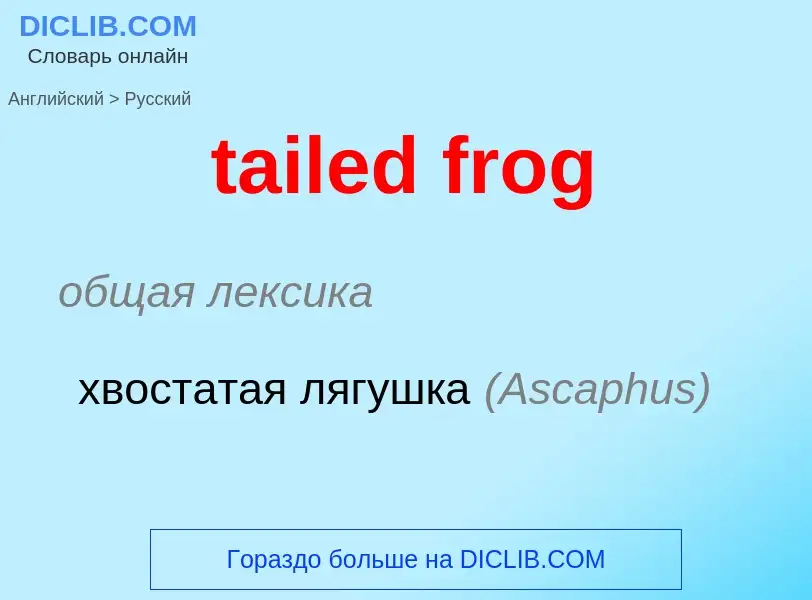 Как переводится tailed frog на Русский язык