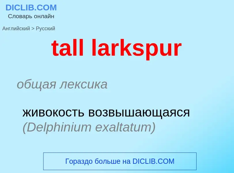 Vertaling van &#39tall larkspur&#39 naar Russisch