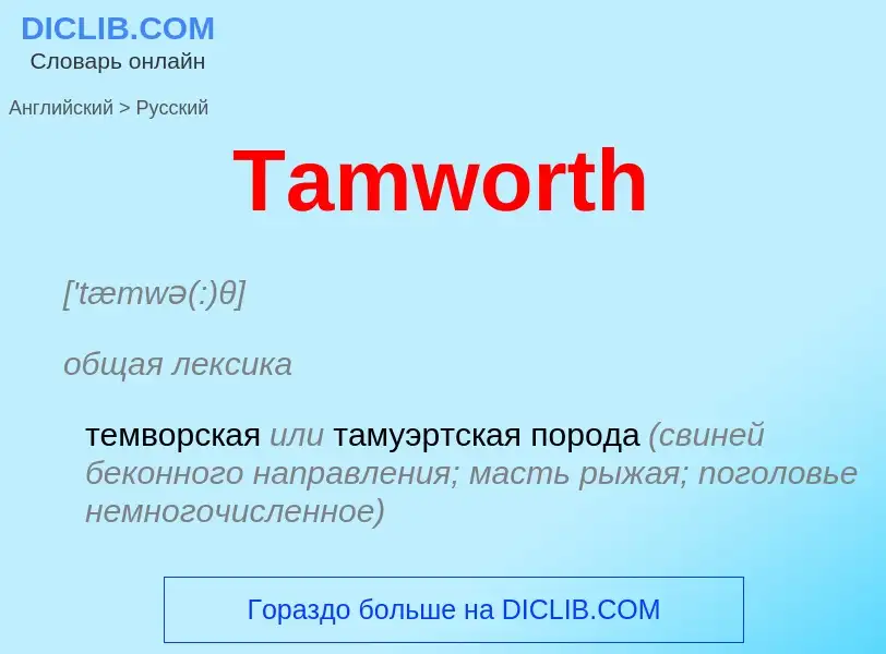 Como se diz Tamworth em Russo? Tradução de &#39Tamworth&#39 em Russo