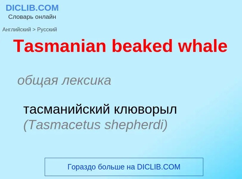 Como se diz Tasmanian beaked whale em Russo? Tradução de &#39Tasmanian beaked whale&#39 em Russo