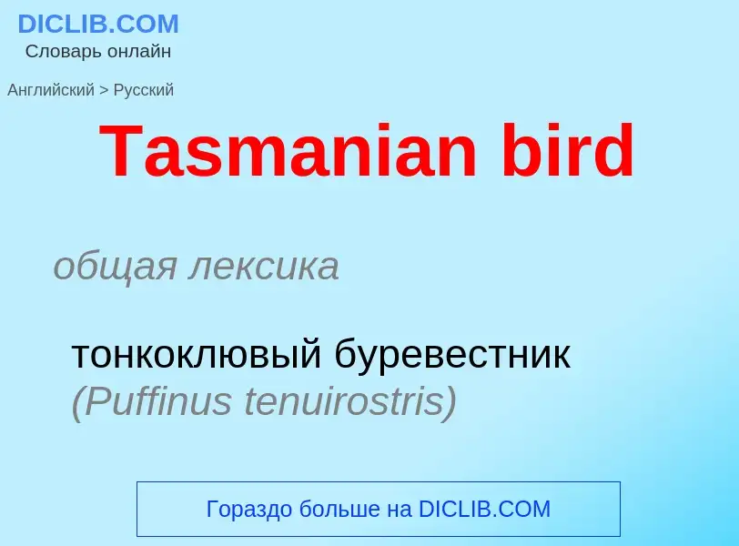 Como se diz Tasmanian bird em Russo? Tradução de &#39Tasmanian bird&#39 em Russo