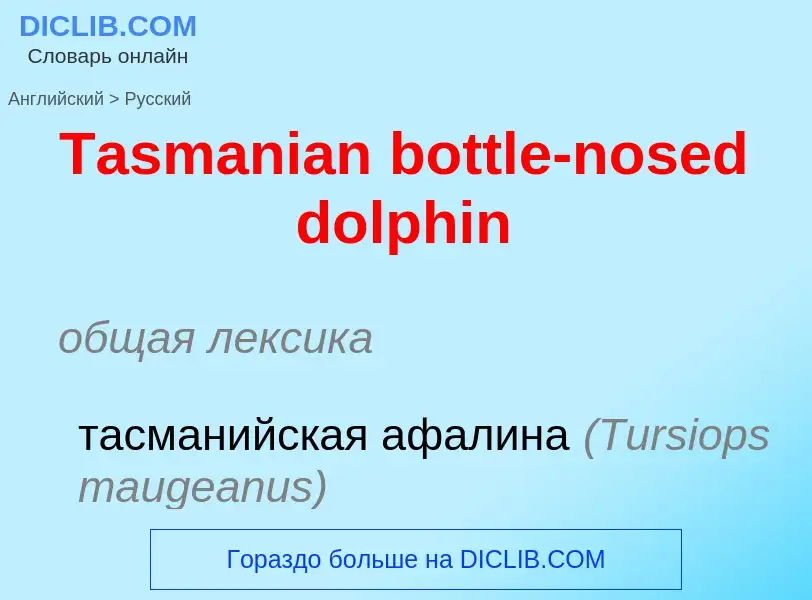 Como se diz Tasmanian bottle-nosed dolphin em Russo? Tradução de &#39Tasmanian bottle-nosed dolphin&