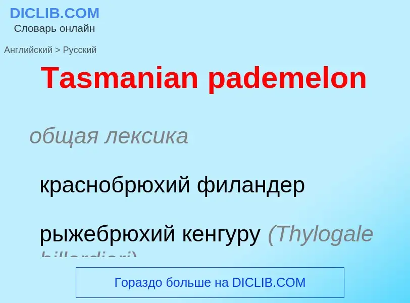 Como se diz Tasmanian pademelon em Russo? Tradução de &#39Tasmanian pademelon&#39 em Russo