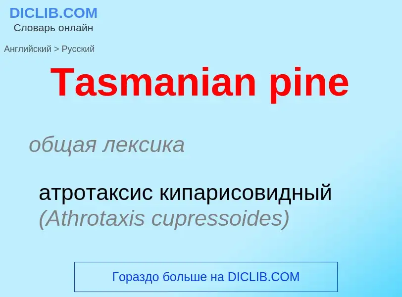 Como se diz Tasmanian pine em Russo? Tradução de &#39Tasmanian pine&#39 em Russo