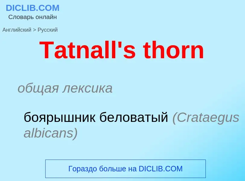 What is the الروسية for Tatnall's thorn? Translation of &#39Tatnall's thorn&#39 to الروسية