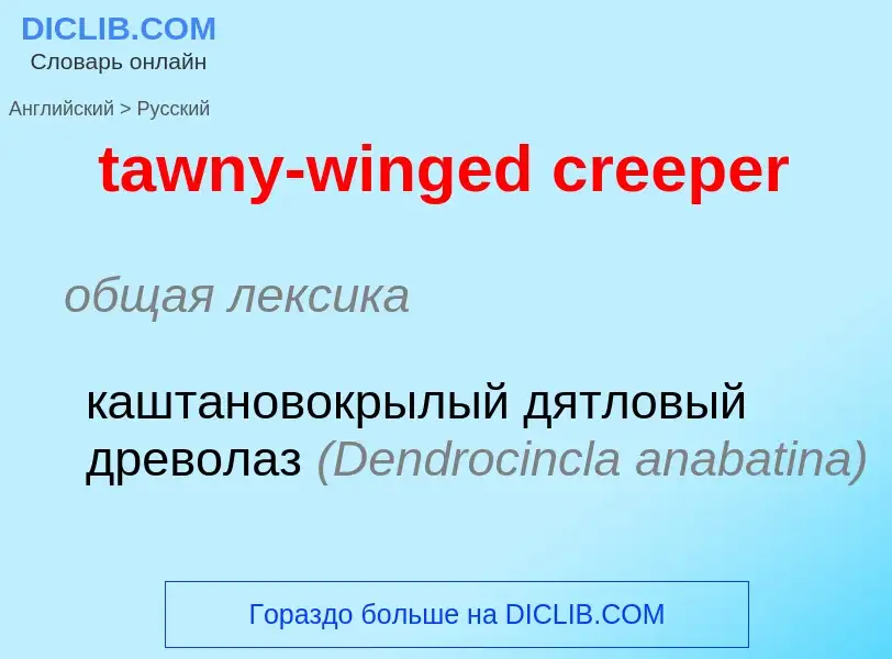 Μετάφραση του &#39tawny-winged creeper&#39 σε Ρωσικά